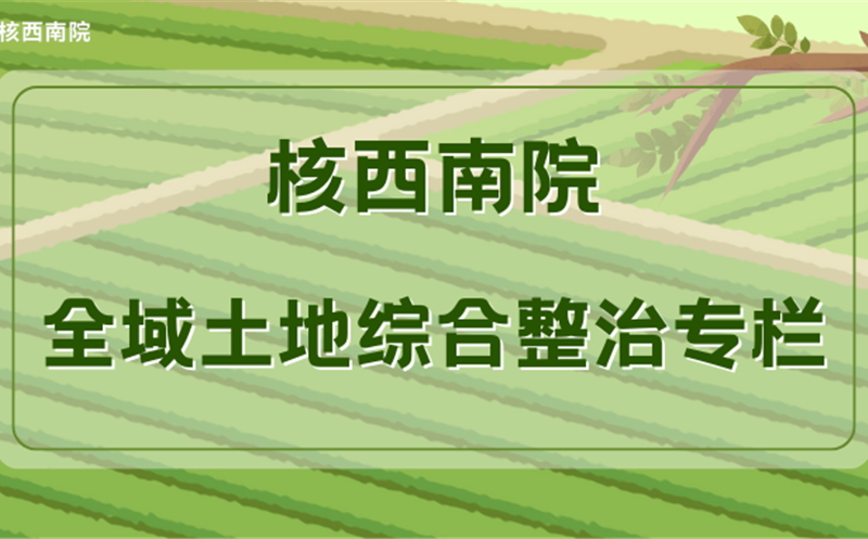 全域土地综合整治专栏丨核西南院组织第二期全域土地综合整治学习交流会