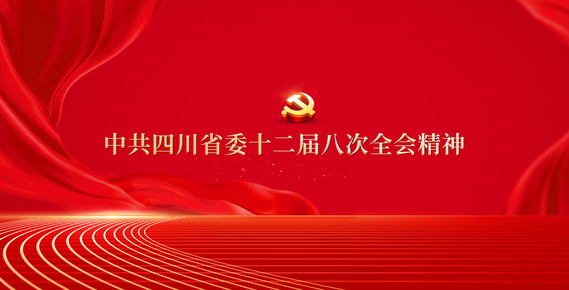 中共四川省委十二届八次全会精神