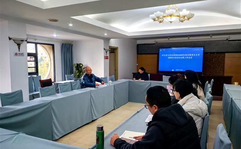 测绘公司召开2025年度财务决算工作会