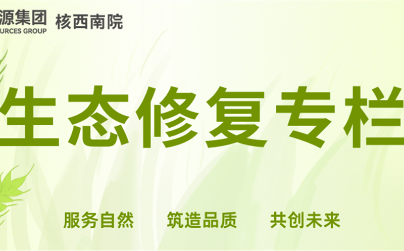 初心如磐绽芳华 协同攻坚创佳绩丨核西南院冯瑞的生态修复实干答卷
