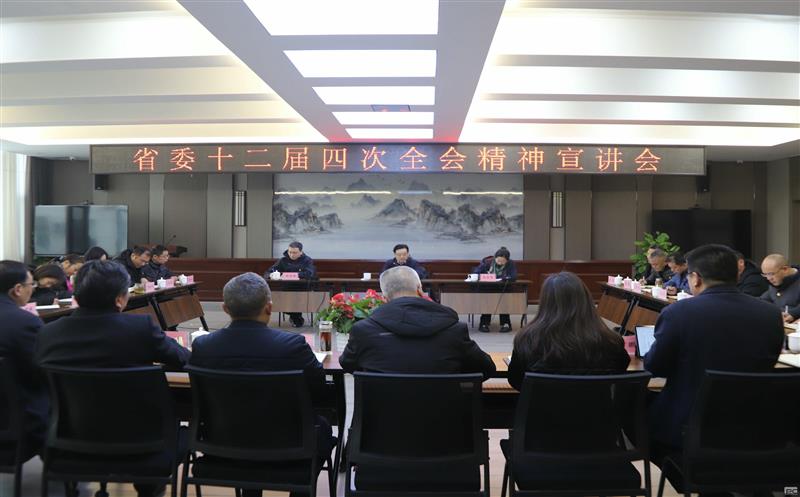 集团领导赴攀西公司宣讲省委 十二届四次全会精神，并开展春节送温暖活动