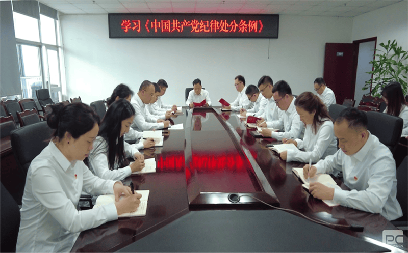 增强规矩意识，严守纪律底线 ——物探院组织学习新修订《中国共产党纪律处分条例》